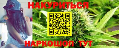 сатива Обнинск