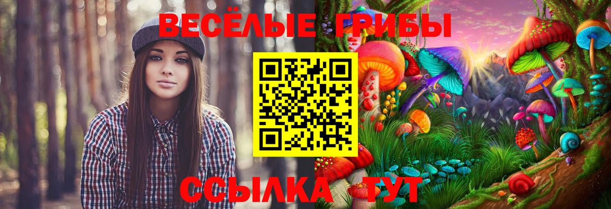 Галлюциногенные грибы GOLDEN TEACHER Черняховск