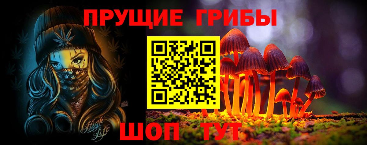 Галлюциногенные грибы Psilocybe  Псилоцибиновые грибы мицелий  Вход с VPN  Черняховск 
